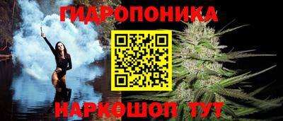 трава Аша