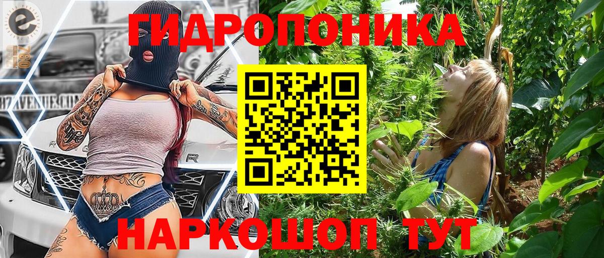 Орёл  Шишки марихуана план  Вход с VPN  Бошки Шишки конопля  Бошки марихуана индика 